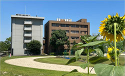 [情報科学科]